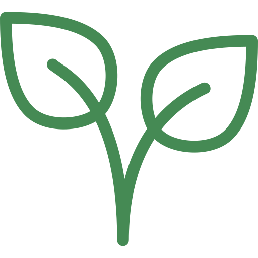 plante